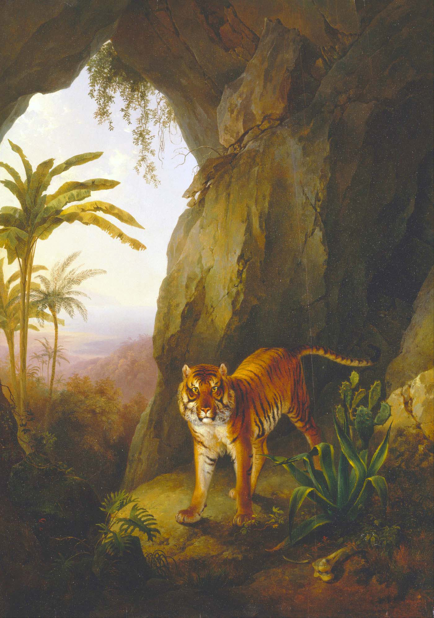 tiger in a cave